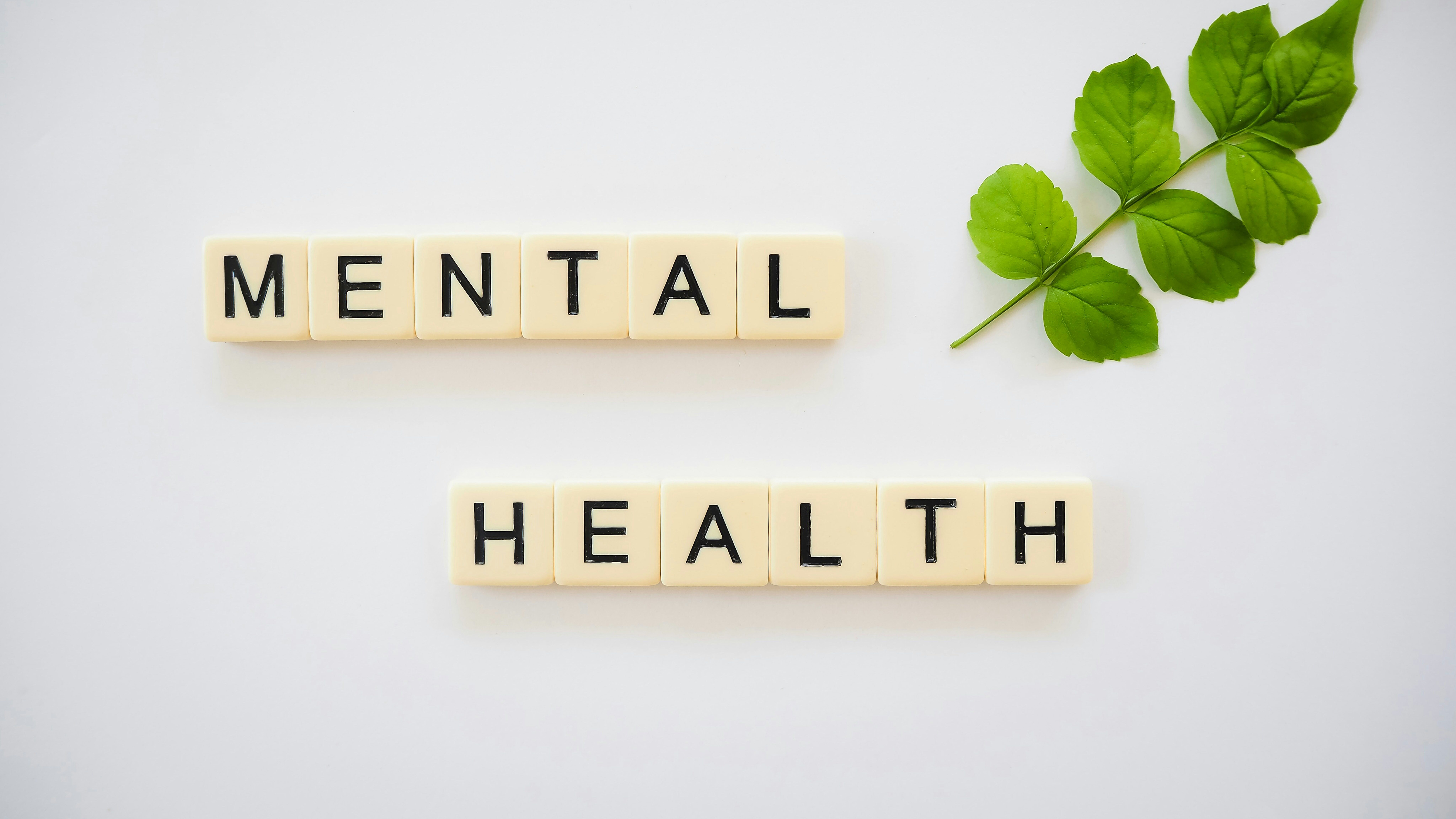 words mental health spelled out in small blocks
